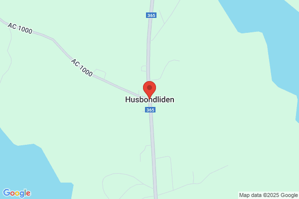 Lapplandsveckan / Betaniaförsamlingen