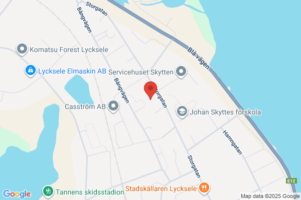 Leidulfs Måleri