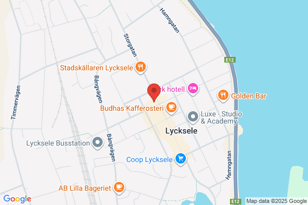Pizzeria & Restaurang Lapponia