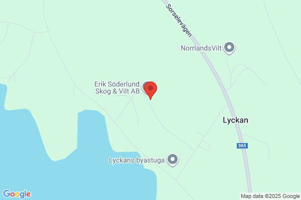 Lycksele Röj AB
