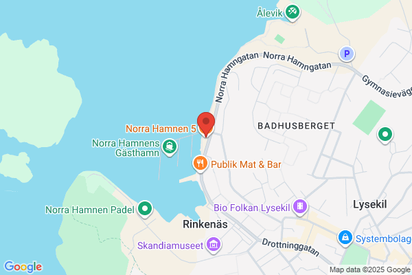 Kapten Sture