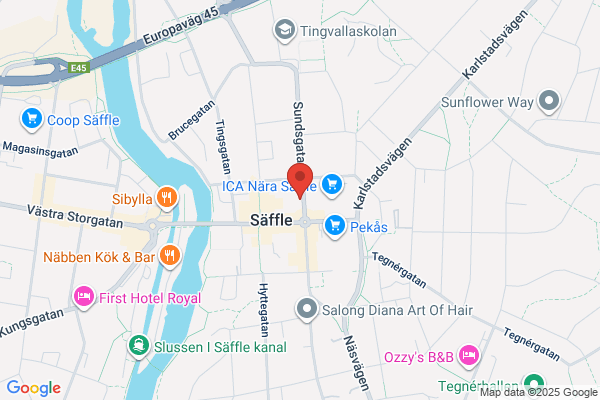 Pizzeria Bakfickan