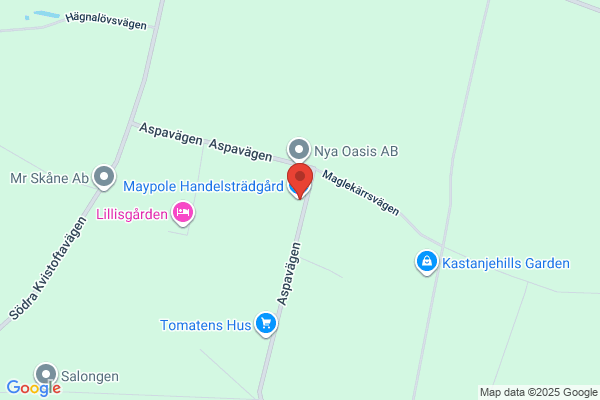 T-Vägtal AB