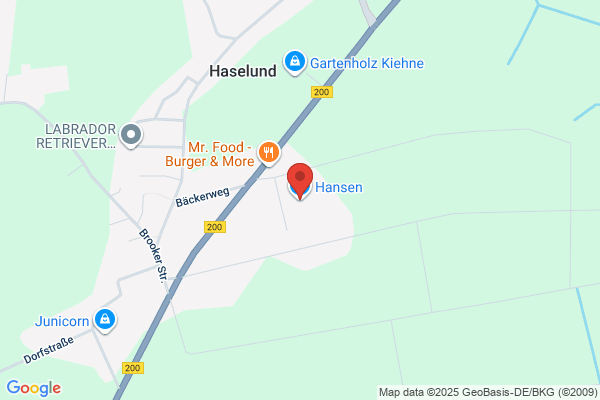 Hansen, Martin