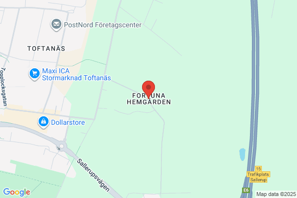 Fortunas Kakeltjänst