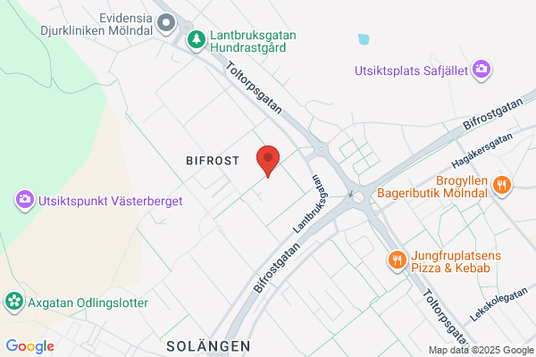 Snöhöjdens Konsult