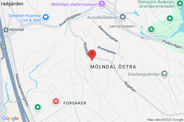 Ryetskolan