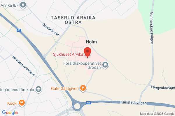 Sjukhuset i Arvika (Sjukhus)