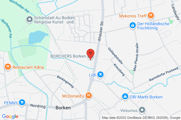 BorisXpression AB