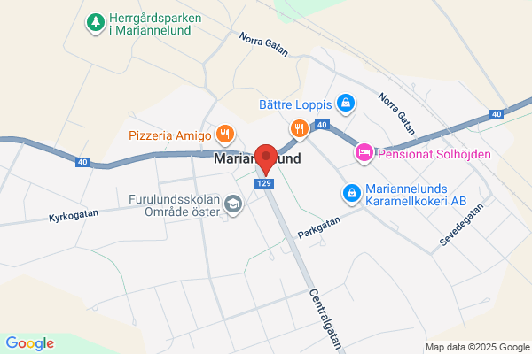 Dani Pizzeria