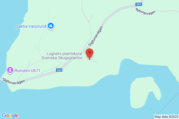 Svenska Skogsplantor
