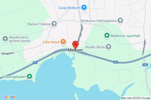 Fyra T i Molkom AB