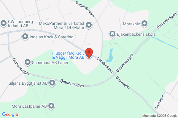 Golv o Vägg Flügger Färg