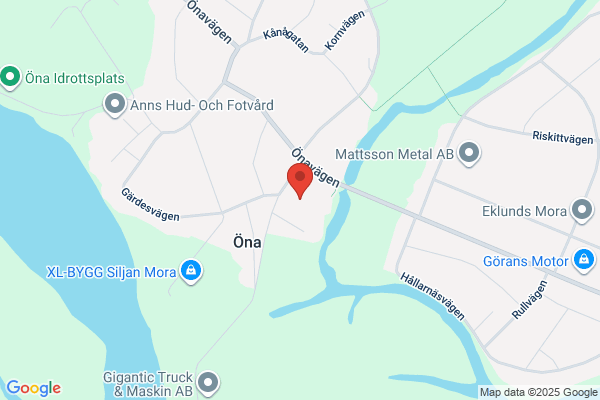 Oh Pro Sport Ekonomisk Fören