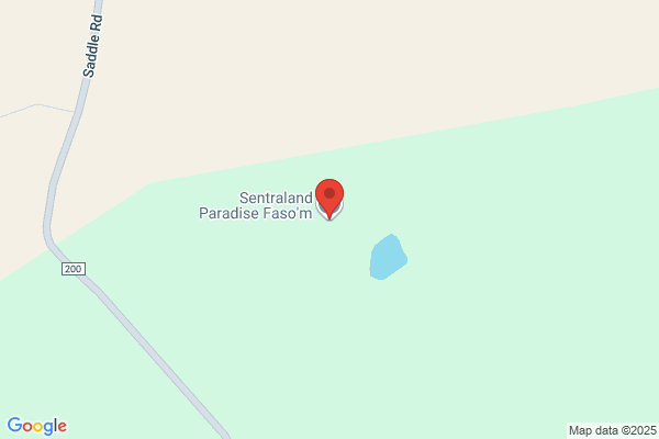 Blå Hawai