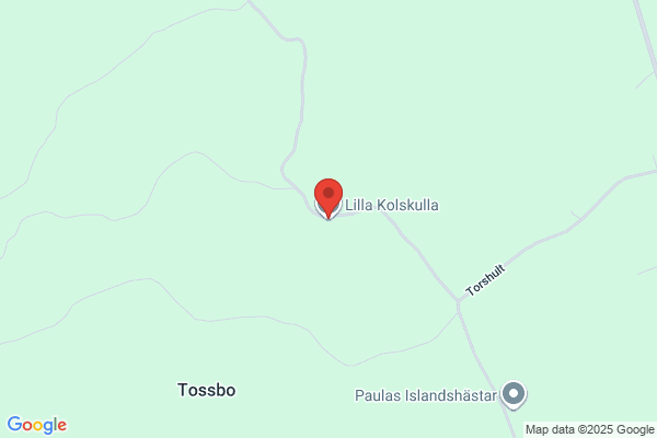 Svebi AB