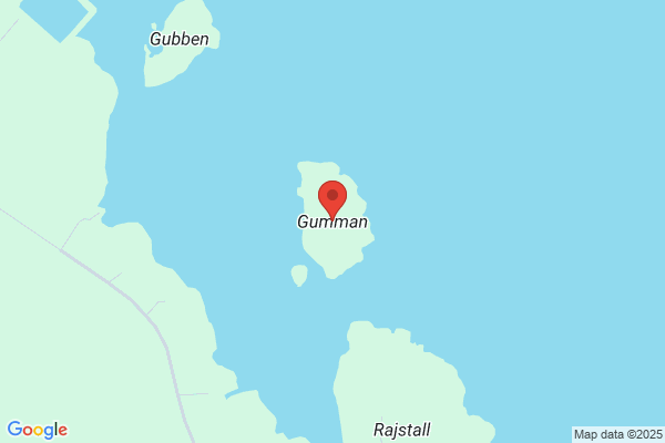 Gröna Gumman AB