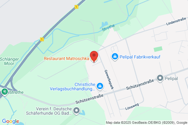Restaurang Matsilver