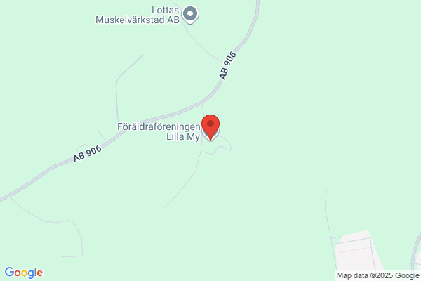 FÖRÄLDRAFÖRENINGEN LILLA MY (Barn och utbildning)