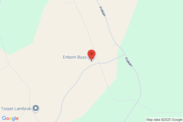Enbom Buss