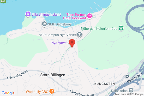Bokförlaget Gröna Lyckan