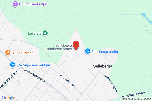 Selleberga Måleri