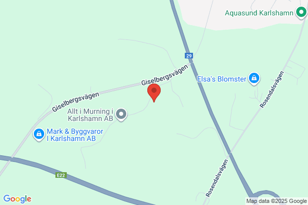 Blekinge Murservice AB
