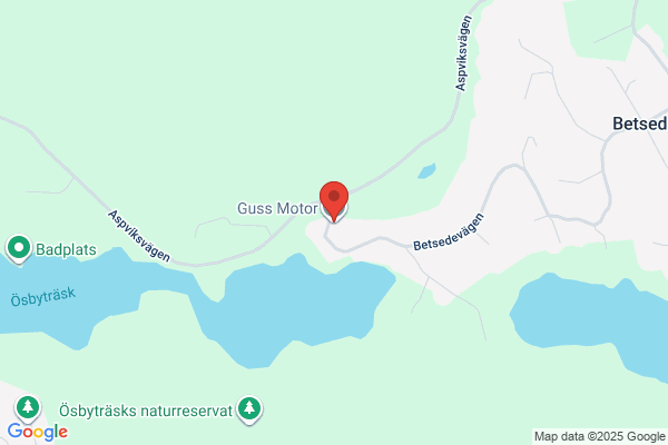 Gustis Bilservice, Gustav Levy-Hüneberg