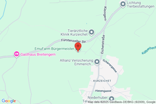 Emu Bokföring