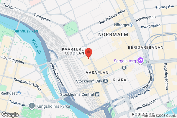 Konstnärligt Ledarskap Lederman AB