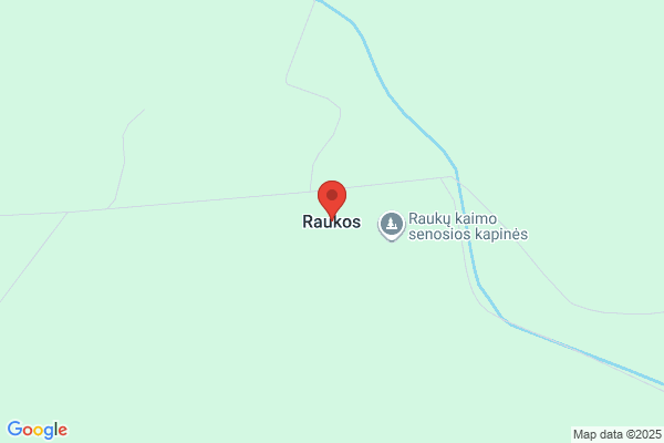 Raukas Arvo, Ingenjörsfirma