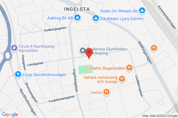 BVS Norrköping