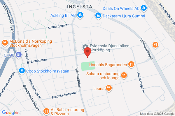 Avis Biluthyrning