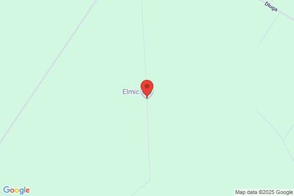 Elmic
