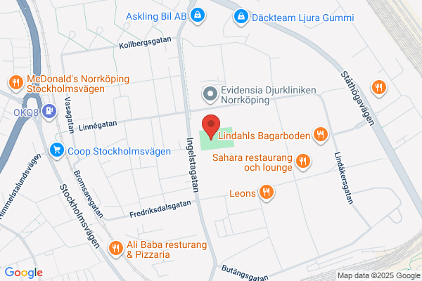 Bollspelaren idrottsplats (Fritid och idrott)
