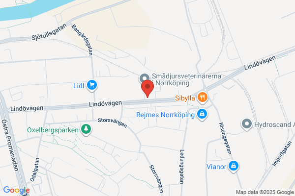Peritia Redovisning