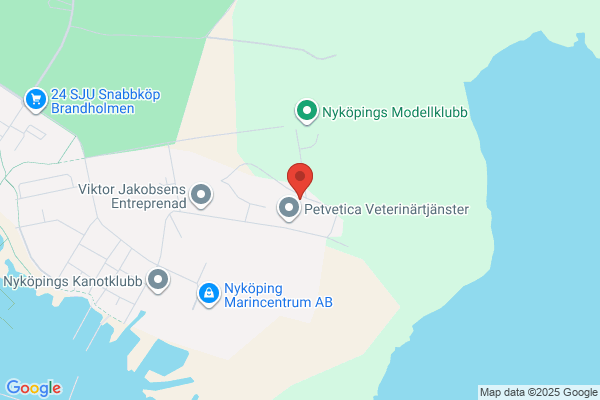 Fordonskonsult