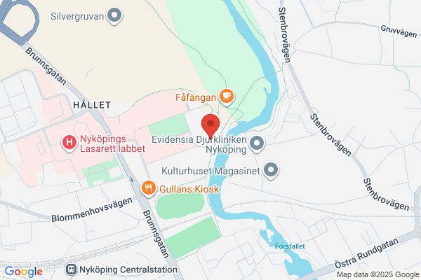 Mikaeliskolan