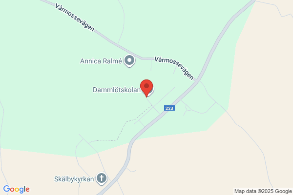 Dammlötskolan (Grundskolor)