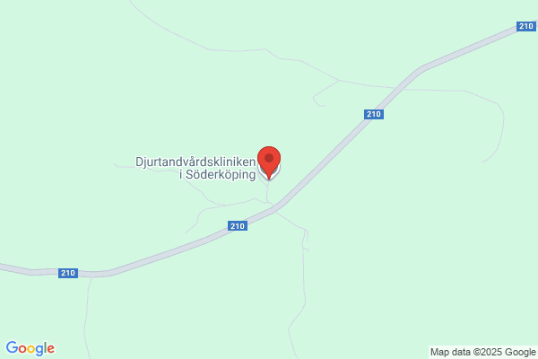 Djurdoktorn Rutger Lindahl