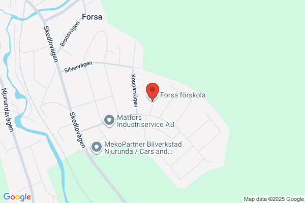 Forsa Musik
