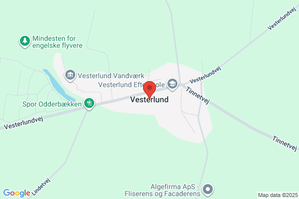 Vesterlund, Christer