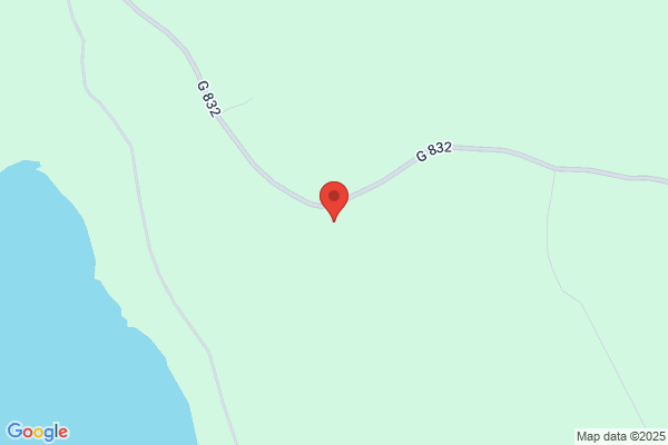 Skog, Jenni