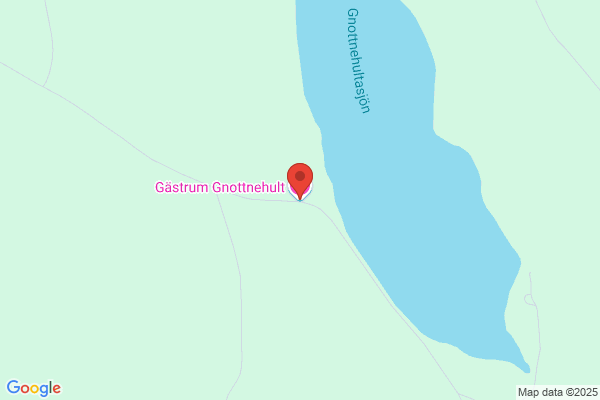 Örtagumman