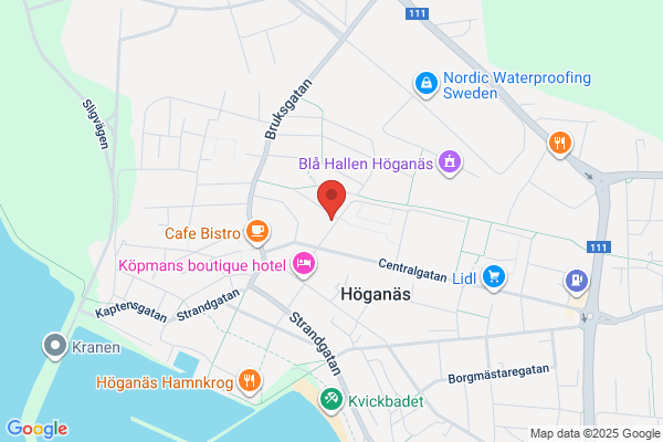 Olssons Bygg & Inredning AB, Dan
