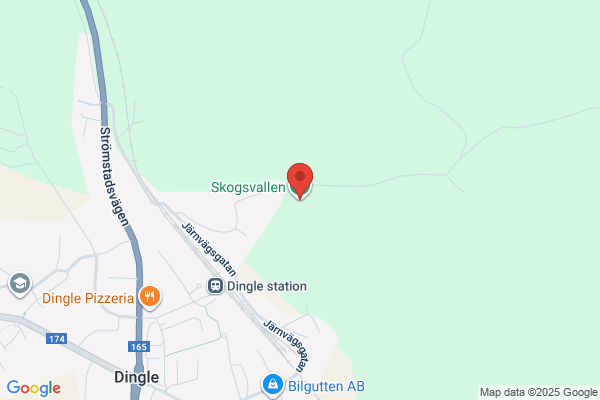 Skogsvallen, idrottsplats (Fritid och idrott)