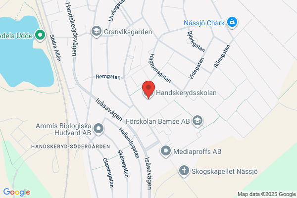 Handskerydsskolan