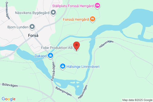 Företagsredovisn I Forsa Ab