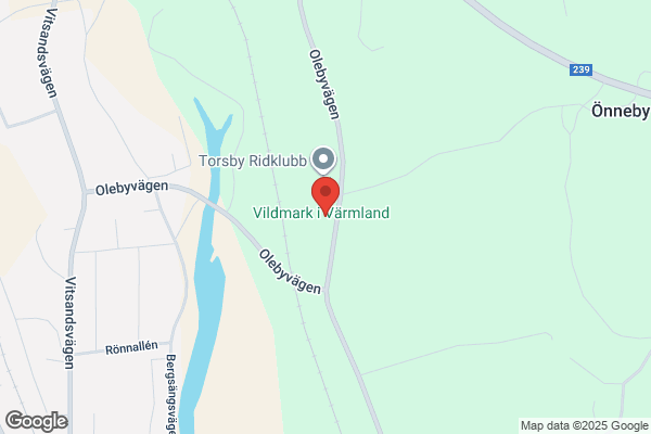 Vildmarkcity