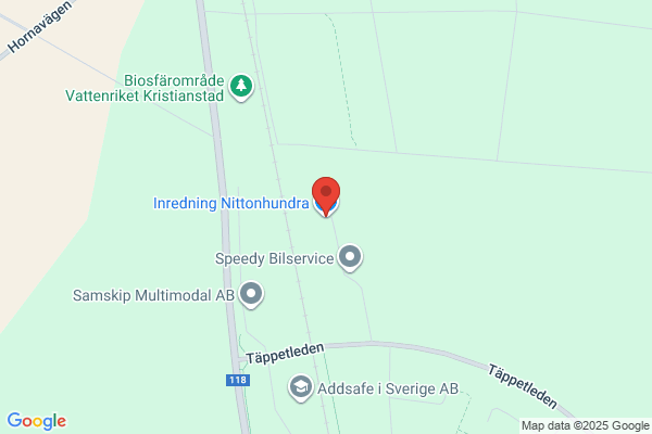 Inredning Nittonhundra